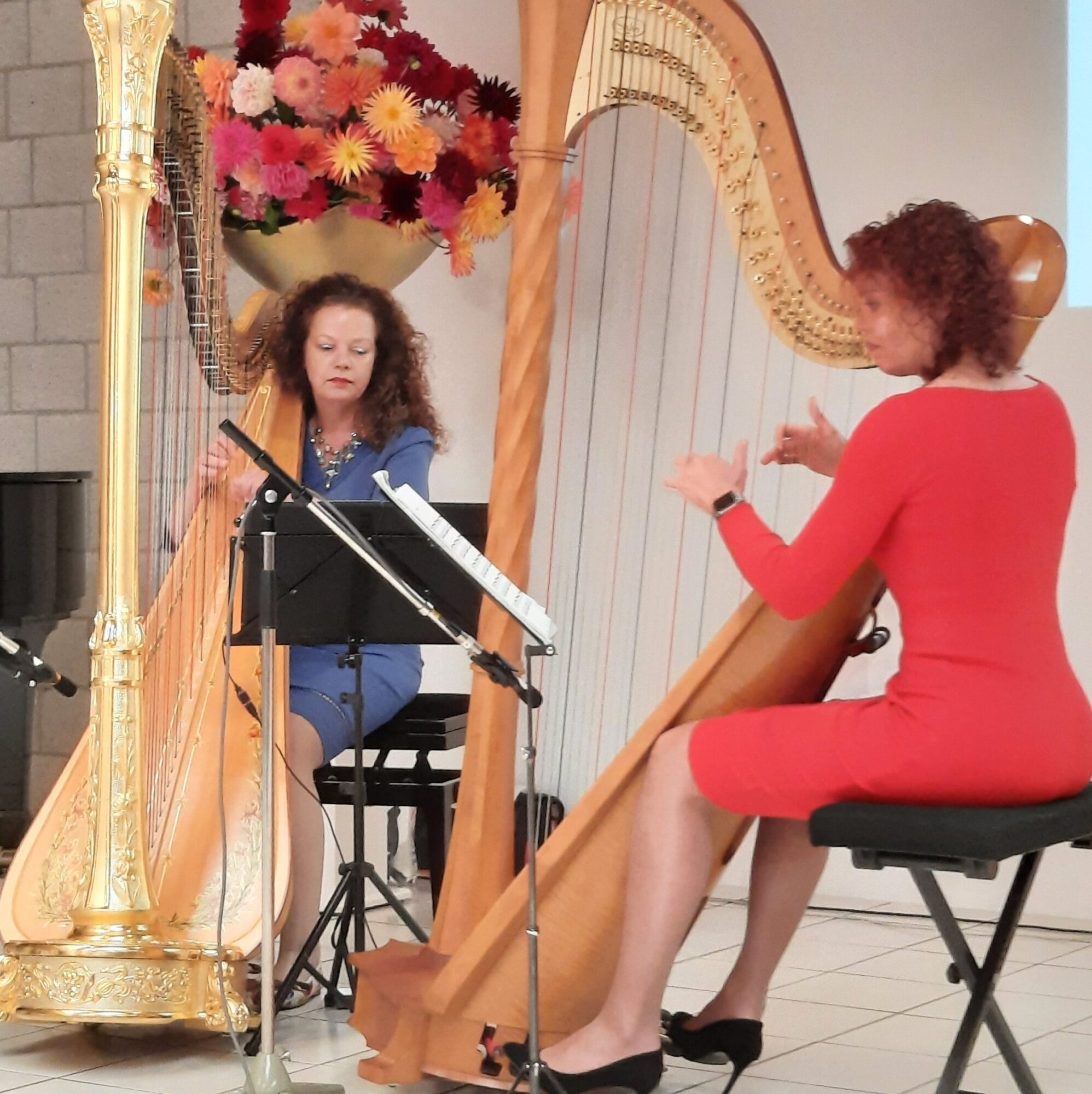harpistenduo speelt tijdens symposion